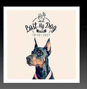 Lost My Dog 10 x 10 - 2007 , Various Artists
