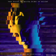 The Echo Of Pleasure , The Pains of Being Pure at Heart