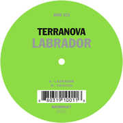 Labrador , Terranova