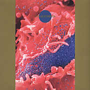 Synaesthesia , Death Ambient