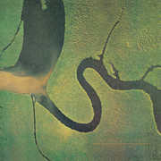 The Serpent's Egg , Dead Can Dance