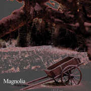 Svarta Sagor , Magnolia