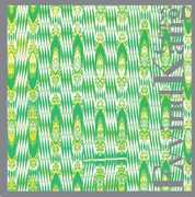 Grass , Eyvind Kang