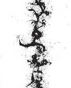 The True Discoveries Of Witches and Demons , John Zorn