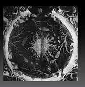 Luciform , Sutekh Hexen
