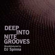 Deep Into Nite Grooves: Mixed By DJ Spin / Various , Various Artists