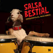 Salsa Bestial , Orquesta El Macabeo