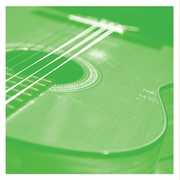 Vdsq Solo Acoustic Vol. 13 , Tashi Dorji