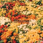 Home Wrecking Years , Brendan Canning