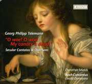 O Woe O Woe My Canary Is Dead , Dorothee Mields