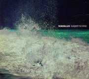 Wasser Im Wind , Roedelius