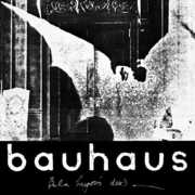 Bela Session , Bauhaus