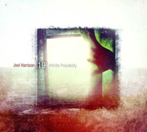 Infinite Possibility , Joel Harrison 19