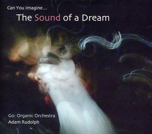 Go: Organic Orchestra - Can You Imagine The Sound Of A Dream , Adam Rudolph