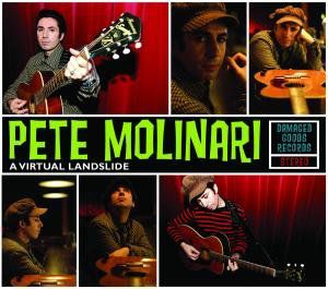 Virtual Landslide , Pete Molinari