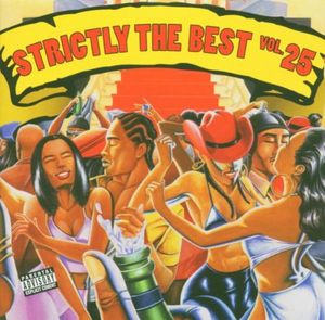 Strictly The Best Vol. 25 , Various Artists