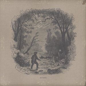 Vetiver , Vetiver