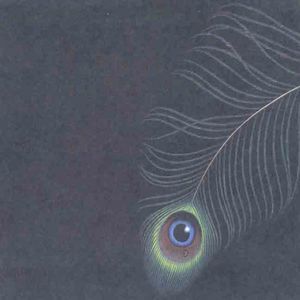 Circles , Unwed Sailor