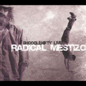 Radical Mestizo , Shooglenifty