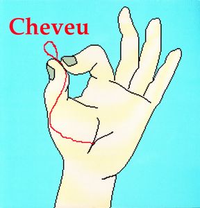 Cheveu , Cheveu