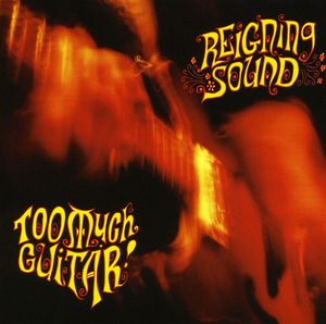 Too Much Guitar , The Reigning Sound
