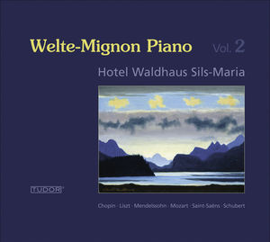 Welte-Mignon Piano 2