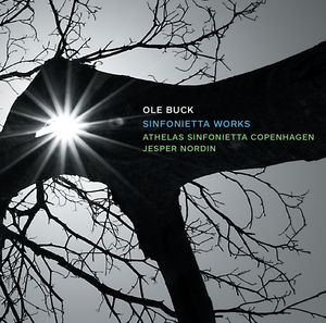 Ole Buck: Sinfonietta Works 