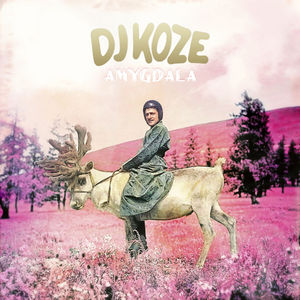 Amygdala , DJ Koze