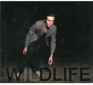Wildlife , The Icarus Line