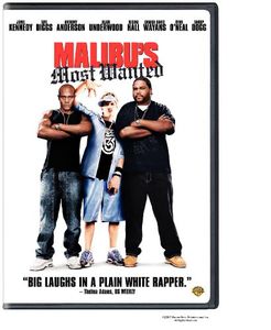 Malibu's Most Wanted , Jamie Kennedy