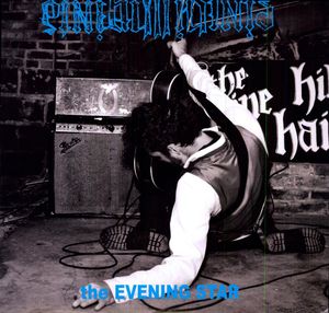 The Evening Star , The Pine Hill Haints