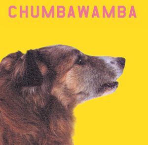 What You See Is What You Get , Chumbawamba