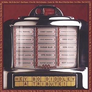 A Tribute: Hey Bo Diddley , Various Artists