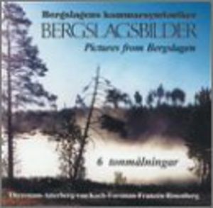 Pictures from Bergslagen , Bergslagen Chamber Orchestra