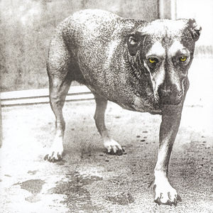 Alice in Chains , Alice in Chains