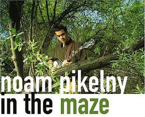In the Maze , Noam Pikelny