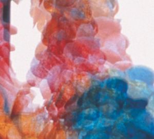 Skit I Allt , Dungen