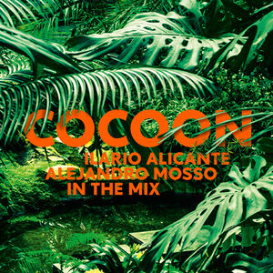 Cocoon Ibiza , Ilario Alicante