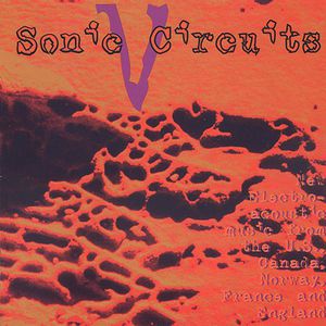 Sonic Circuits, Vol. 5: International Electronic Music Festival , Various Artists