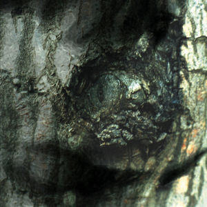 La Valse Des Monstres , Yann Tiersen