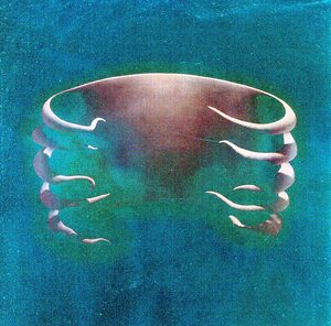 Undertow [Import] , Tool