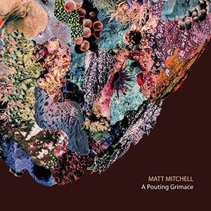 A Pouting Grimace , Matt Mitchell