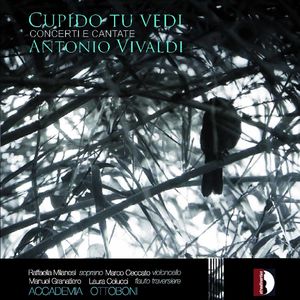 Cupido Tu Vedi , Accademia Ottoboni