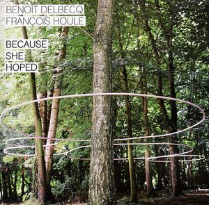 Because She Hoped , Benoît Delbecq