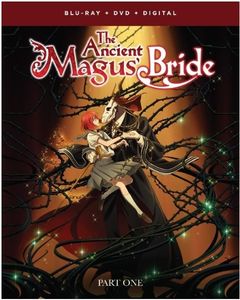 Ancient Magus Bride: Part One , Todd Haberkorn