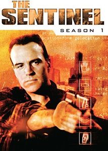 The Sentinel: Season 1 , Richard Burgi