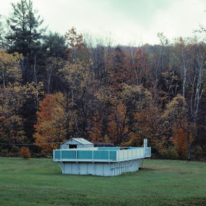 Electric Trim Live At Rough Trade East , Lee Ranaldo