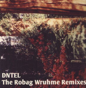 The Robag Wruhme Remixes , Dntel