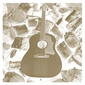 Vdsq Solo Acoustic Vol. 11 , Michael Chapman