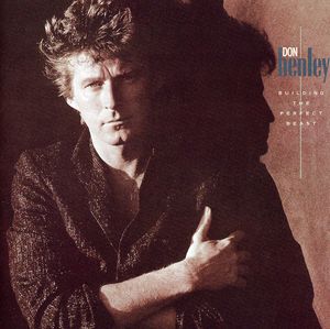 Building the Perfect Beast , Don Henley